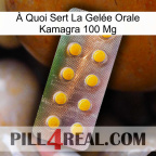 À Quoi Sert La Gelée Orale Kamagra 100 Mg new11